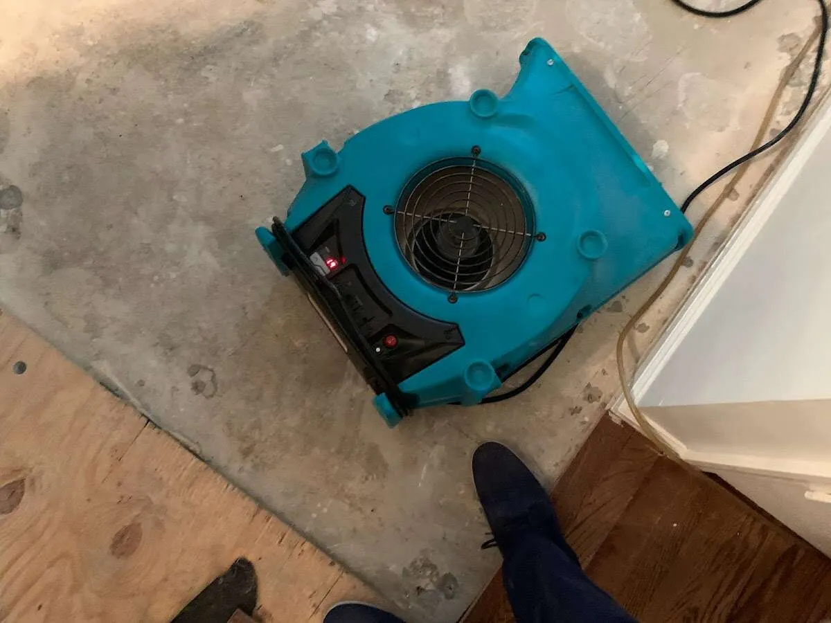Air mover drying subfloor during Leak Detection & Repair in New Whiteland